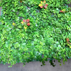 Artificial Grass Backdrop Green  B