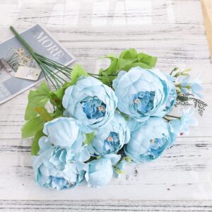 Camellia Bud Sky blue 9-10 head