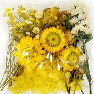 Dry Flower Yellow