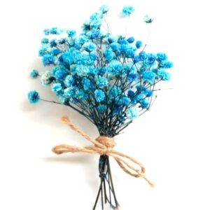 Dry Flower Baby's Breath "Blue"
