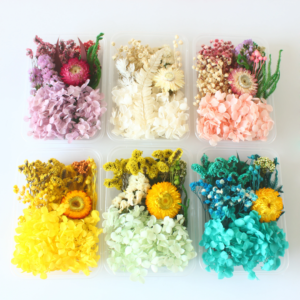 Dry Flower Off White With Box