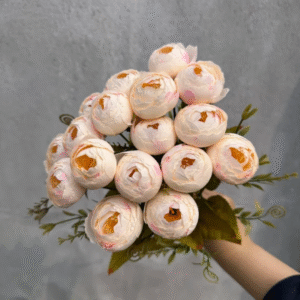 Camellia Bud King Peach 1 Stick